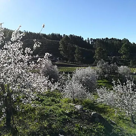 Finca La Bonita * Puntagorda (La Palma)